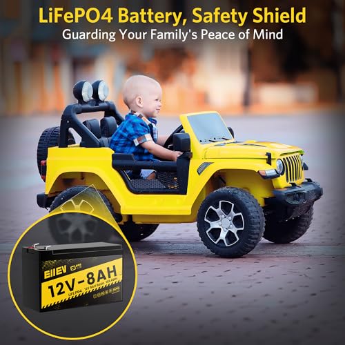 12V 100Ah Lithium Battery,Low-Temp Protection LiFePO4 Battery,Built-in100A BMS,15000+Deep Cycle,Rechargeable Lithium Iron Phosphate Batteries for Trolling Motors,Marine,RV,Camping,Home Energy