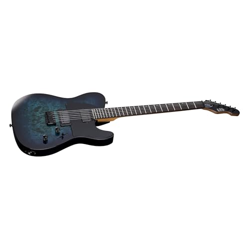 ESP LTD TE-200DX Electric Guitar - Purple Burst