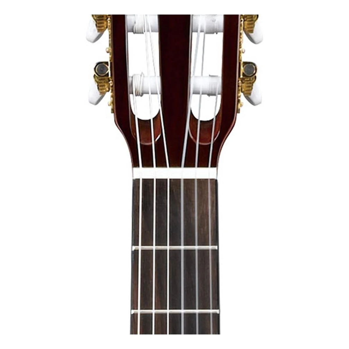Ibanez GA5TCE Classical Thinline Acoustic-Electric Guitar