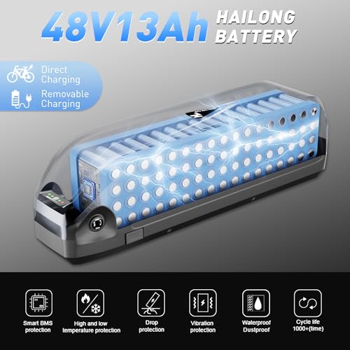 48V Lithium Battery, 10Ah/13Ah Electric Bike Battery, Suitable for Most 0-1500w E-Bikes Used for Replacement Batteries, EBike Battery with USB Charging Socket, with Base and Charger (13Ah-HLDC)