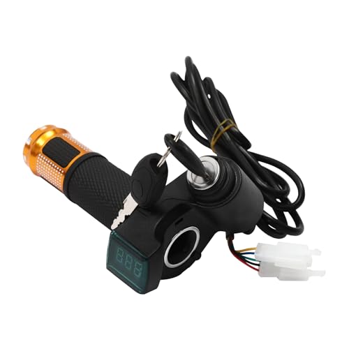 AKaSping 10IN 24V/36V Dual Motor Drive Air Wheel Ki Off-Road Wheel Conversion Kit Brush Gear Motor Chain Kit with Reverse Switch for Electrical Beach Bike Electric Cart Bike