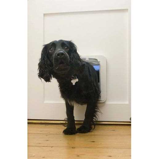 SureFlap Microchip Pet Door - Pet Supplies online store
