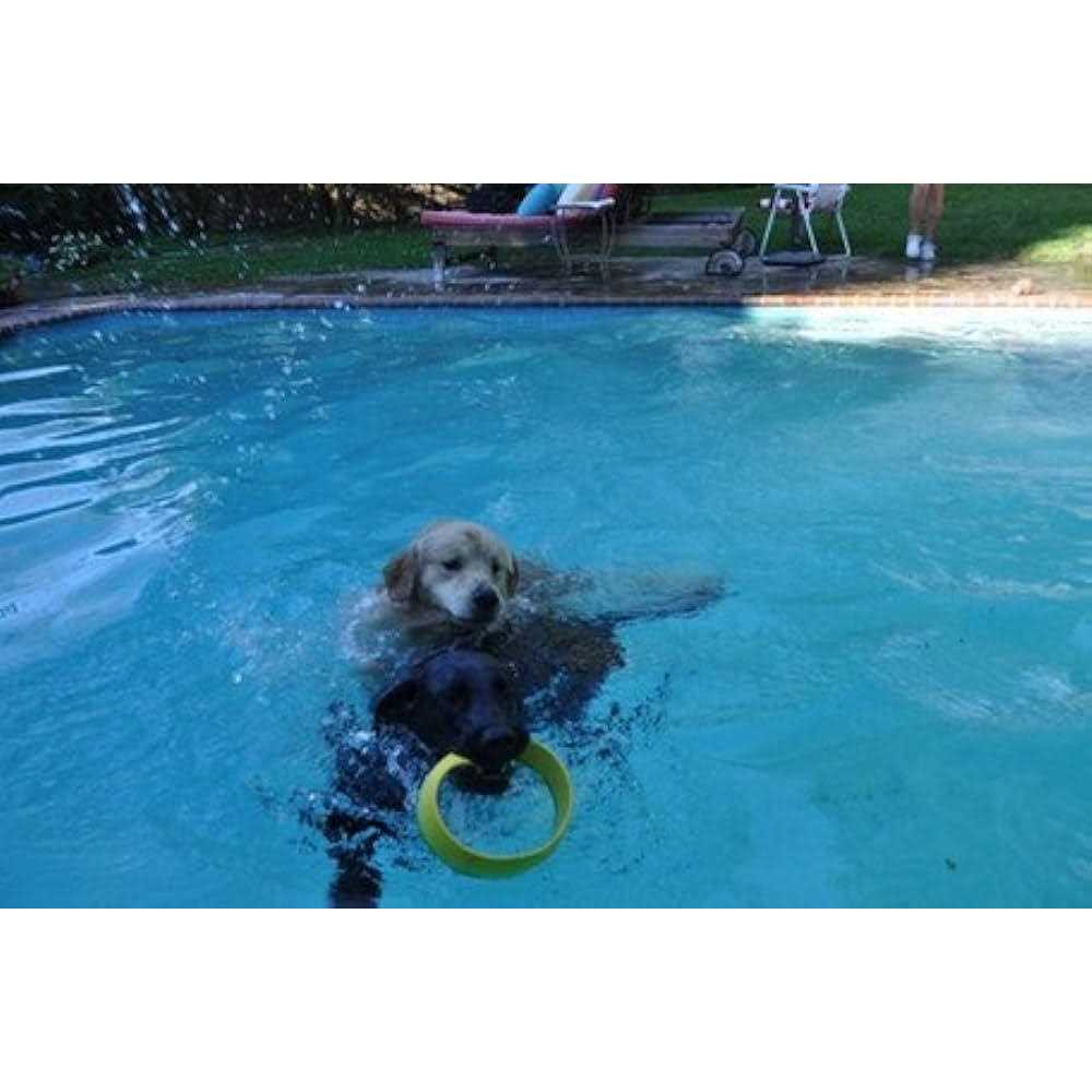 HurriK9 Ring Launcher Dog Starter Pack Dog - Pet Supplies online store