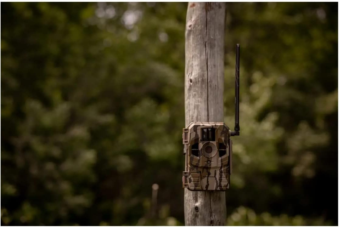 Stealth Cam Connect Cellular Trail Camera (AT&T) Game Camera Ideal for Hunting, Motion Activated, Waterproof Bundle with Solar Power Panel, 32 GB Memory Card and 4-in-1 Card Reader (10-Pack)