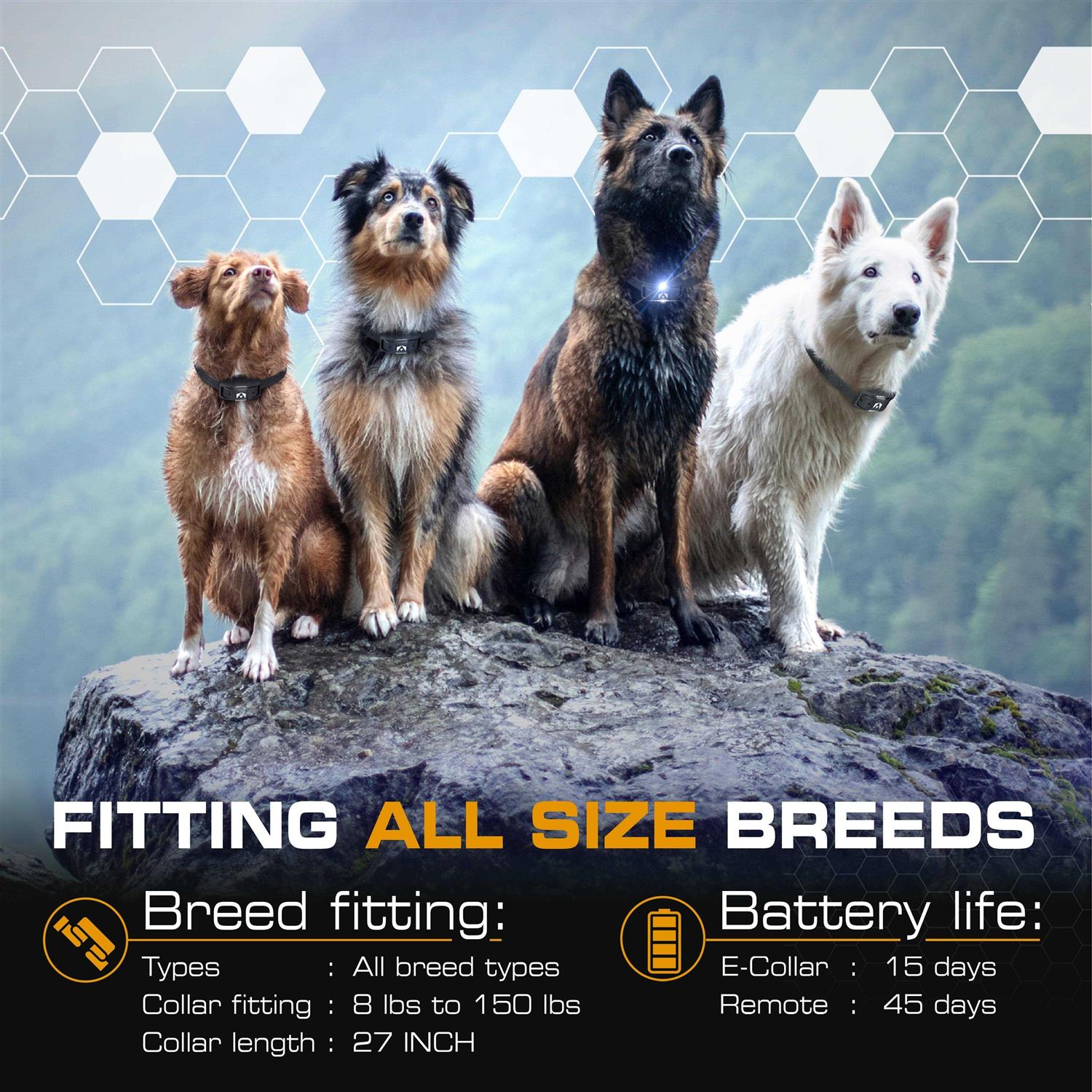 INVIROX ULTRA K9 DOG TRAINING - Pet Supplies online store