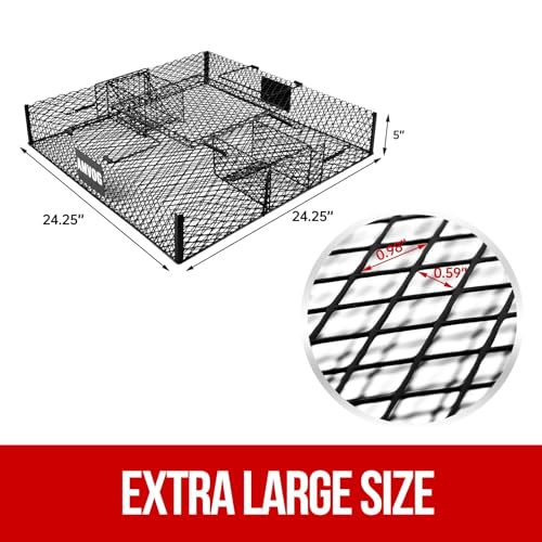 Squirrel Trap (No Bottom Tray) - Ideal for Chipmunks and Squirrels, Metal Construction, Holds up to 25 Squirrels, 2 Traps
