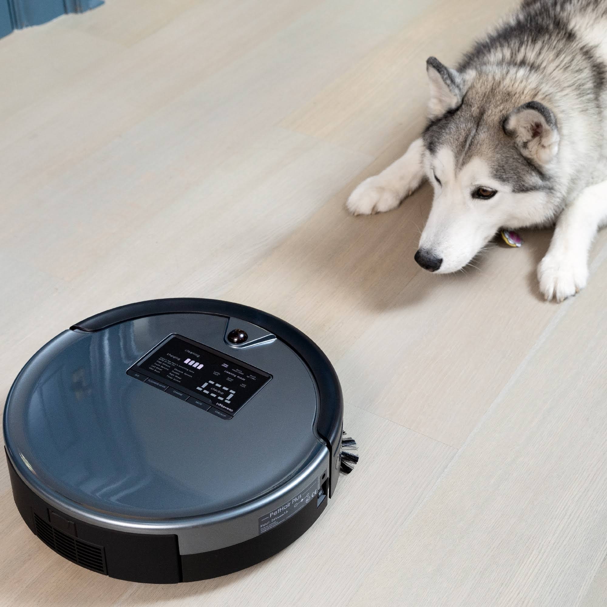 bObsweep Bob PetHair Plus Wet/Dry Robotic Vacuum - Charcoal