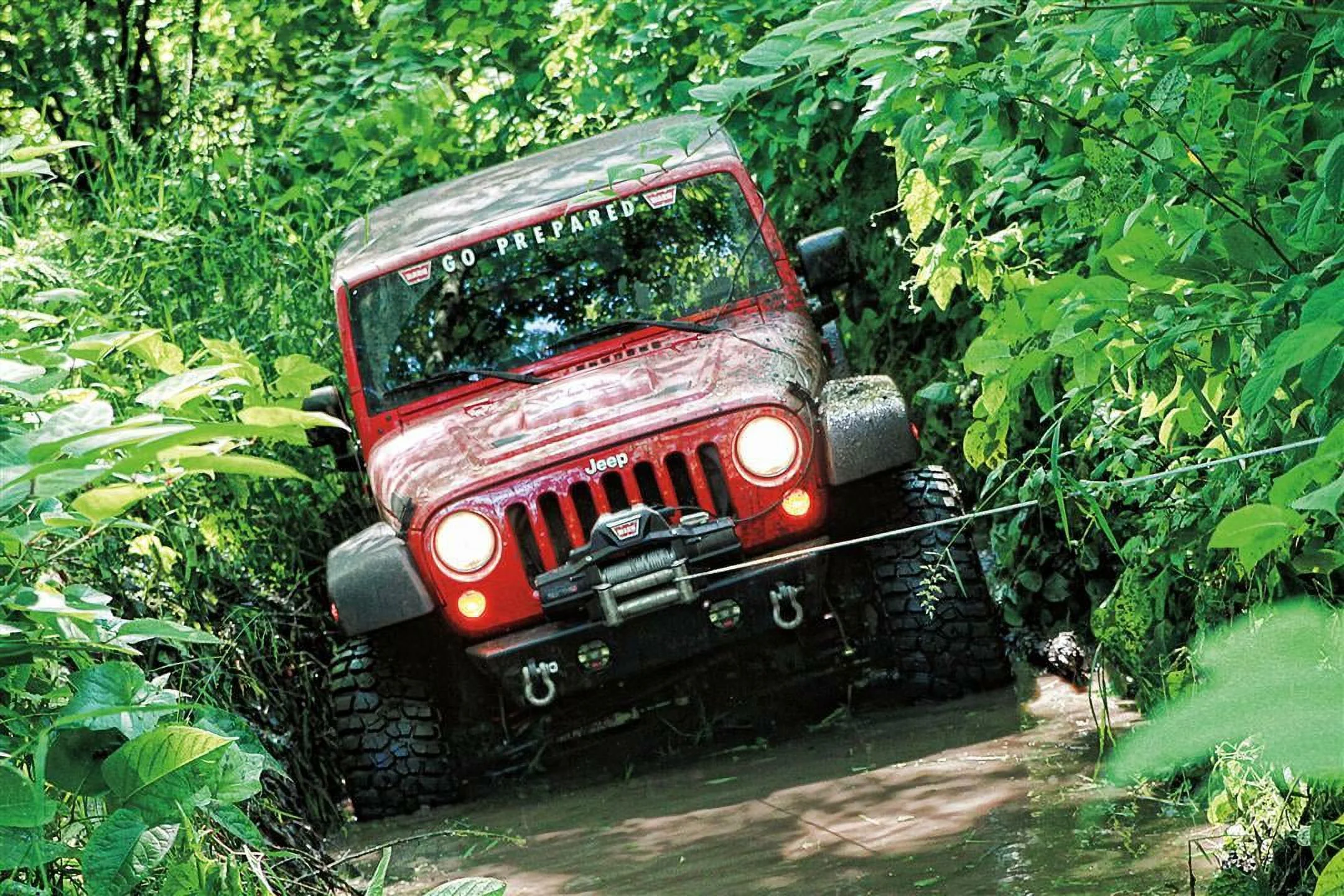 Warn 89305 8000 lbs. Vehicle Recovery Winch
