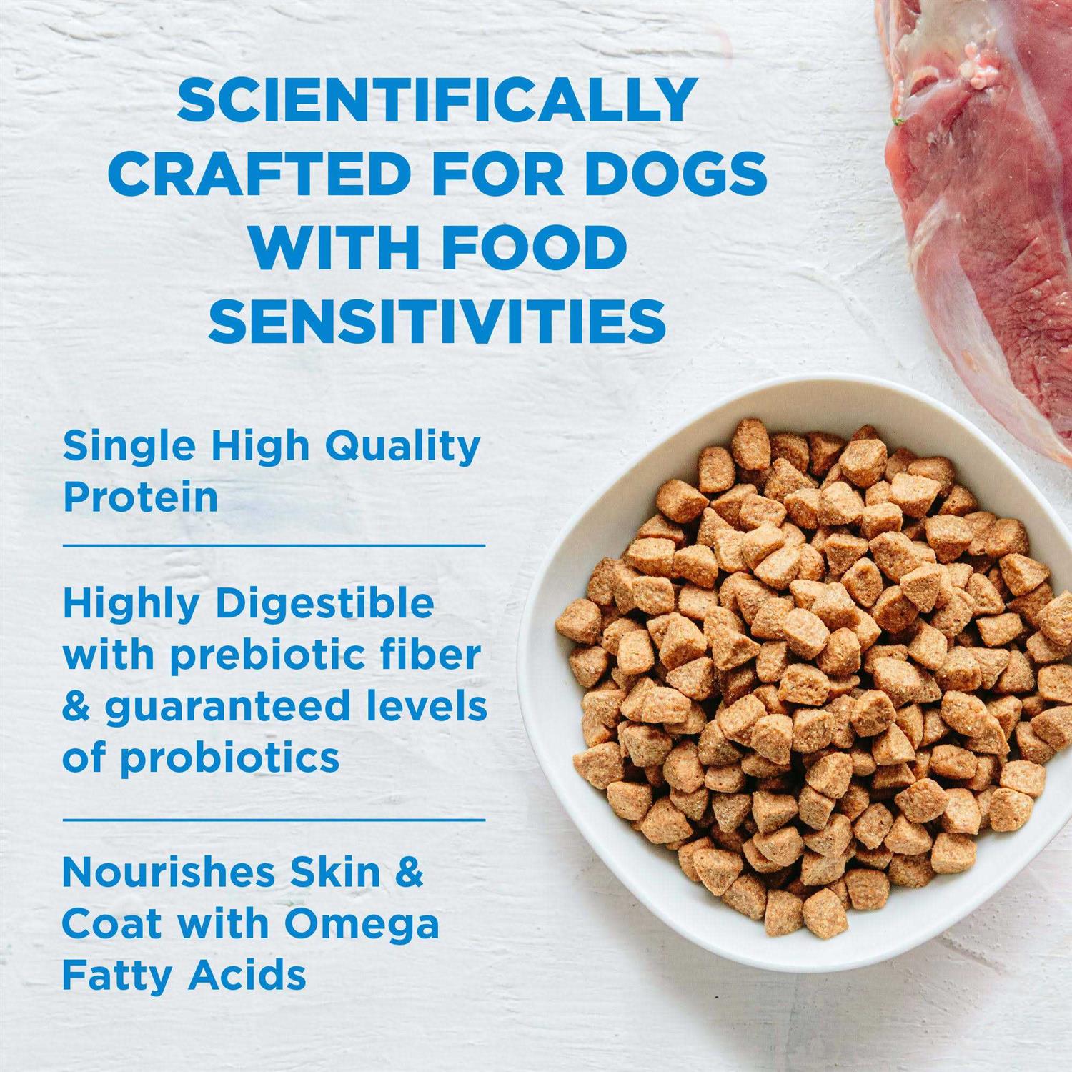 Wellness Simple Limited Ingredient Diet Grain Free Salmon &amp; Potato Natural Dry Dog Food - Pet Supplies online store