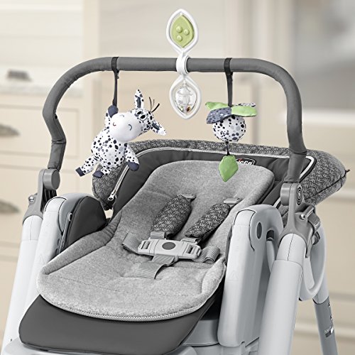 Chicco Polly Progress 5-in-1 Highchair - Minerale | Black