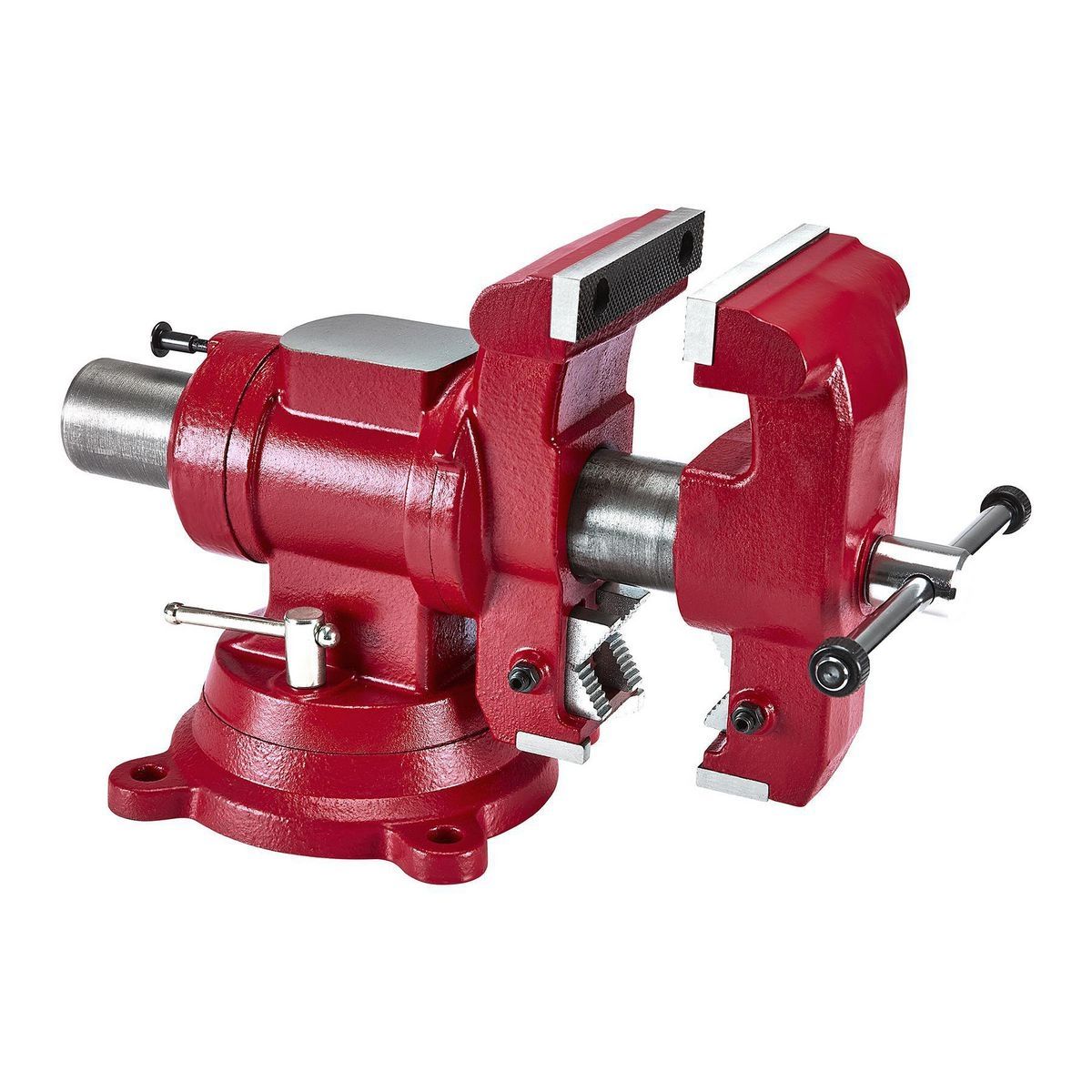 DOYLE 5 in.  Multipurpose Vise with Anvil