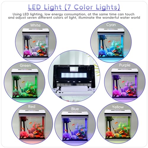 10 Gallon Glass Aquarium Fish Tank Starter Kit with Temperature and Time Display for Betta Fish Featuring Crystal Clear 360° Viewing, Eco-Cycle Filtration, Air Pump