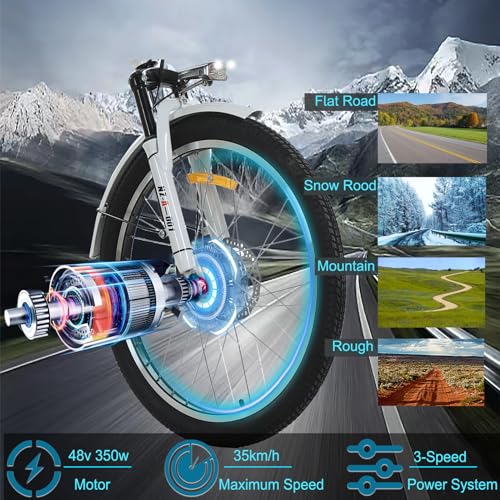 HOLAA Electric Tricycle for Adults 3 Wheel Electric Bicycle, 24" Electric Bicycle with 350w Motor & Removable 36V 12Ah Lithium Battery