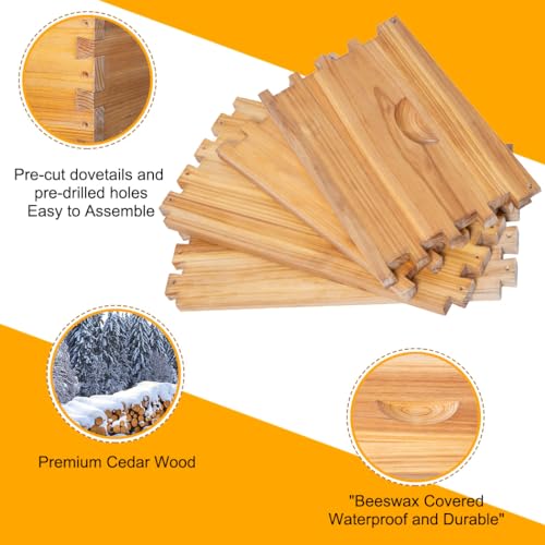 Bee Hive-10 Frame Beehive Starter Kit,Beeswax Coated Bee Hives for Bee Keeper,Beehive Include 1 Deep Bee Box and 1 Medium Bee Hive Box with Frame and Foundation(Unassembled)