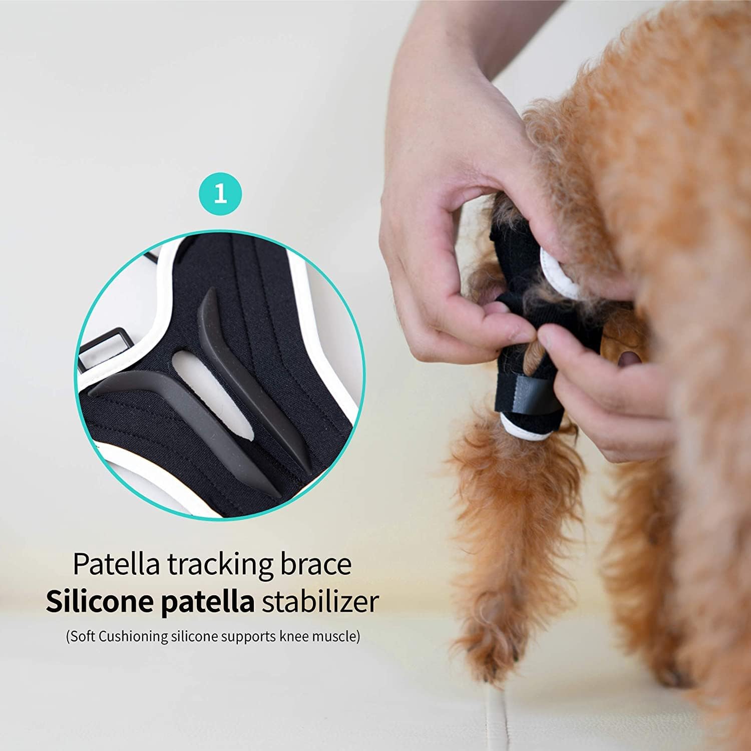 Poveo hinged Dog Knee Brace with Patella Tracker - Neoprene Canine Stifle Support for Dogs with Flexible Support, Torn ACL, Patella Luxation, osteoarthritis, limping from Joint Pain, Hip dysplasia