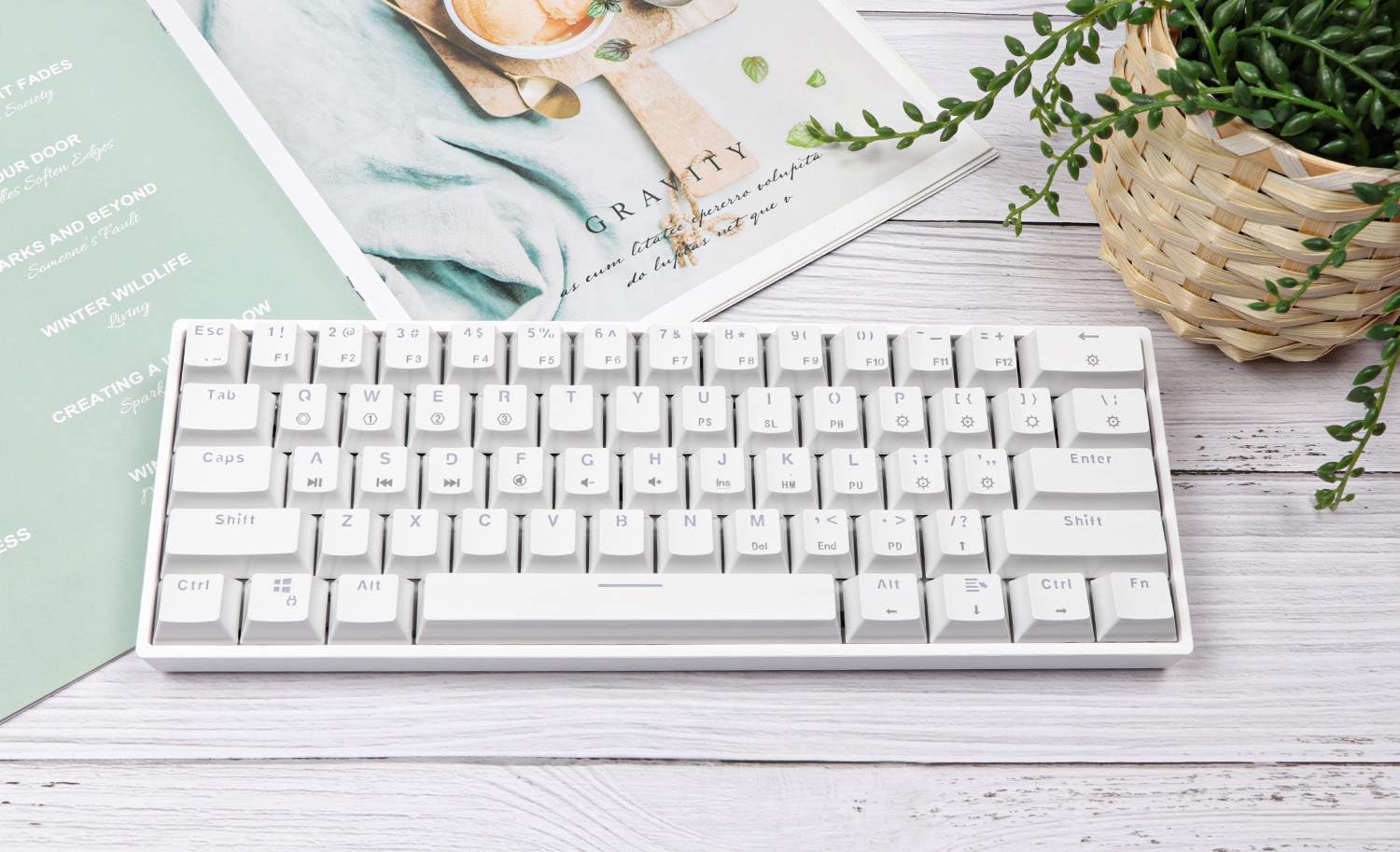 EPOMAKER SKYLOONG GK61 SK61 61 Keys Hot Swappable 60% Mechanical Keyboard with RGB Backlit, Doubleshot ABS Keycaps, Dustproof for Win/Mac/Gamers（Gateron Optical Blue, White