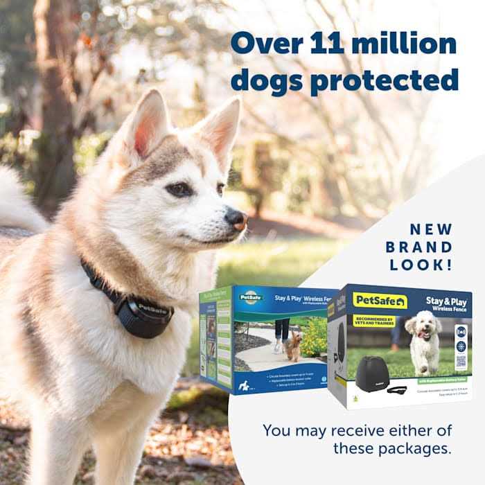 PetSafe Stay and Play Wireless Fence with Replaceable Battery Collar - Pet Supplies online store