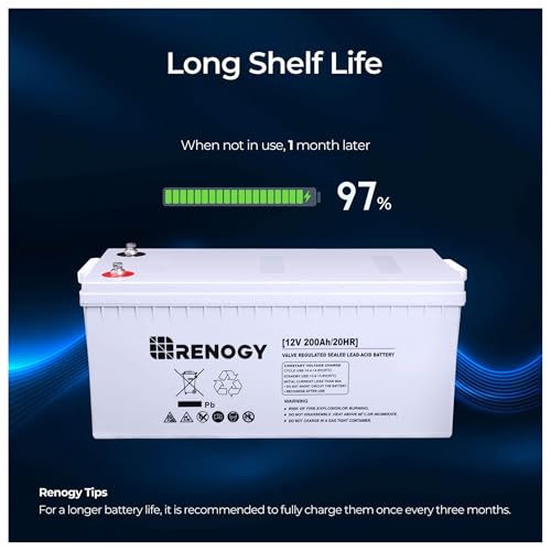 Renogy Deep Cycle AGM 12 Volt 100Ah Battery, 3% Self-Discharge Rate, 1100A Max Discharge Current, Safe Charge Appliances for RV, Camping, Cabin, Marine and Off-Grid System, Maintenance-Free