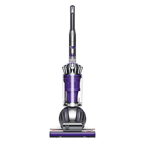 Dyson Ball Animal 2 Upright Vacuum (Certified Refurbished)