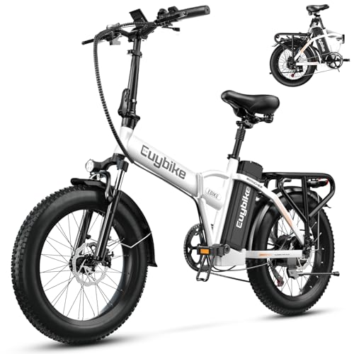 1000W Folding Electric Bike, 48V 20AH Large Removable Battery E Bike, 30+MPH, 80 Miles Max Range, 20" Fat Tire Electric Bike for Adults, Adult Electric Bicycles for Commute Beach Snow