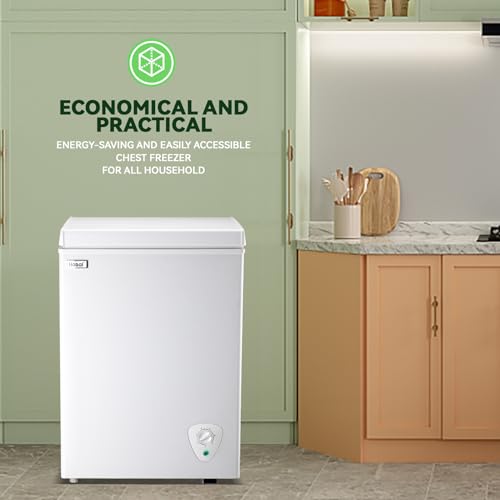 CHEST FREEZER 3.07