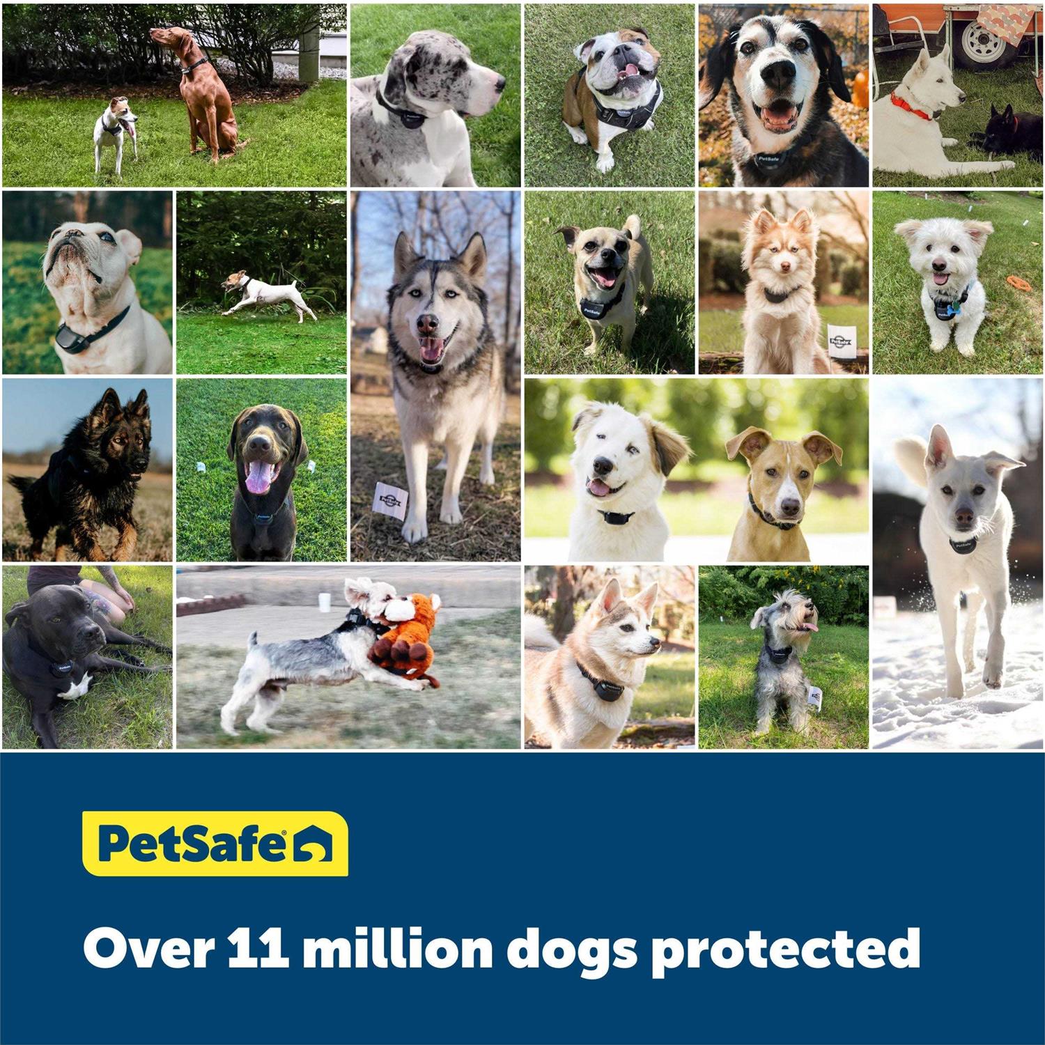 PetSafe Stay &amp; Play Wireless Fence Extra Transmitter - Pet Supplies online store