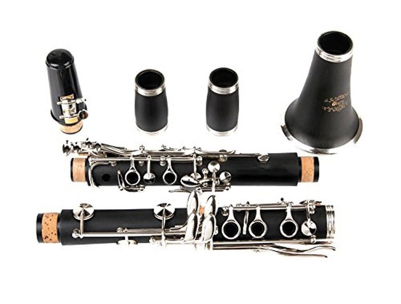 Glory B Flat Clarinet with Second Barrel, 11reeds,8 Pads cushions,case,carekit and More Black/Silver Keys