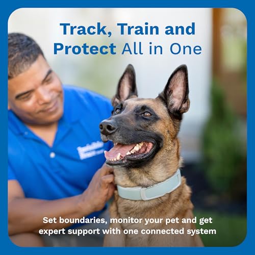 Invisible Fence GPS Dog Fence & Tracking Collar Bundle with Training Flags (White) & Treat Bag (Blue), Wireless GPS Tracker Collar, for Medium & Large Dogs, Waterproof - 1 Year Subscription Included