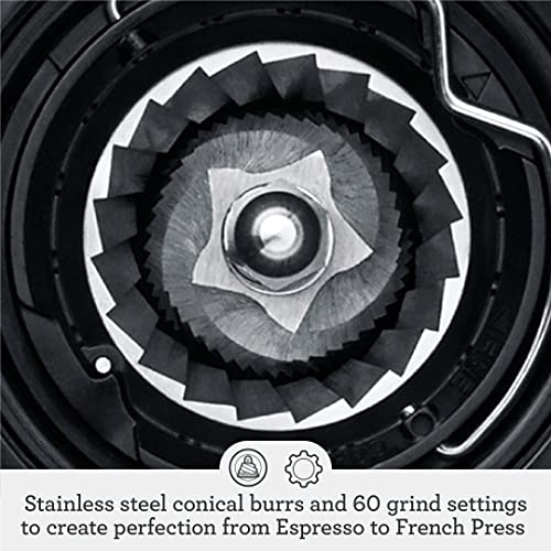 Breville Dose Control Pro Coffee Grinder Bcg800Xl Stainless Steel Bcg800Xl electric food mill grinder