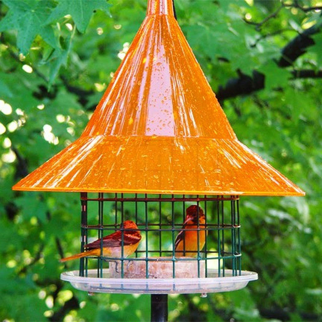Artline - SkyCafe Oriole Feeder AR500
