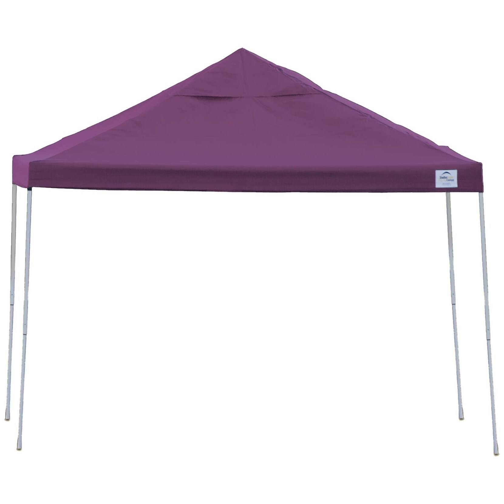 ShelterLogic 12&x12& Pro Pop-Up Canopy-Straight Green