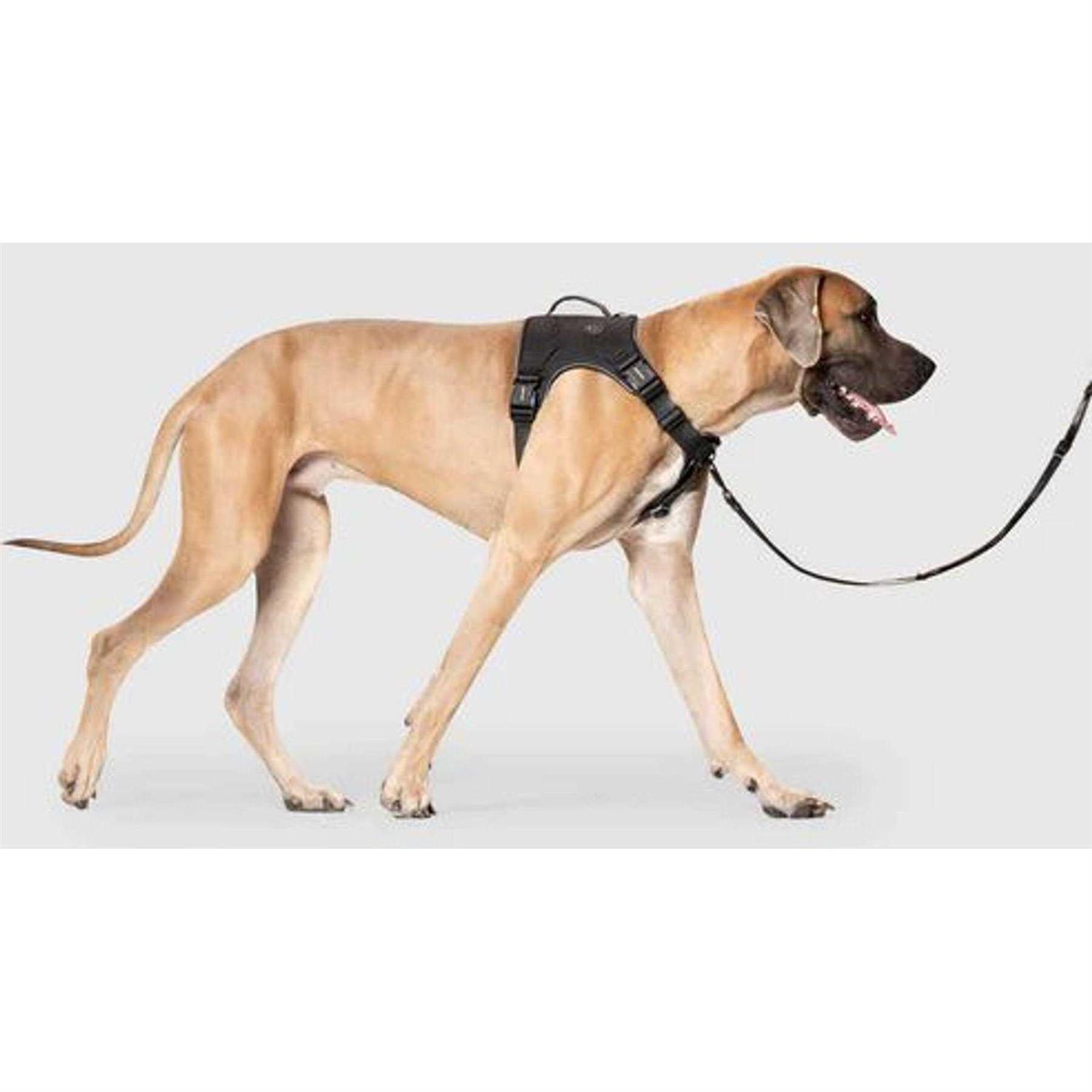 Canada Pooch Complete Control Dog Harness - Pet Supplies online store