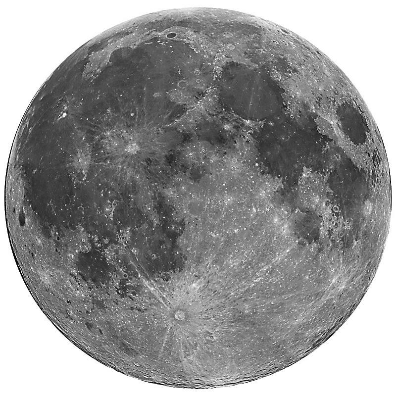 Wallhogs Full Moon Cutout Wall Decal