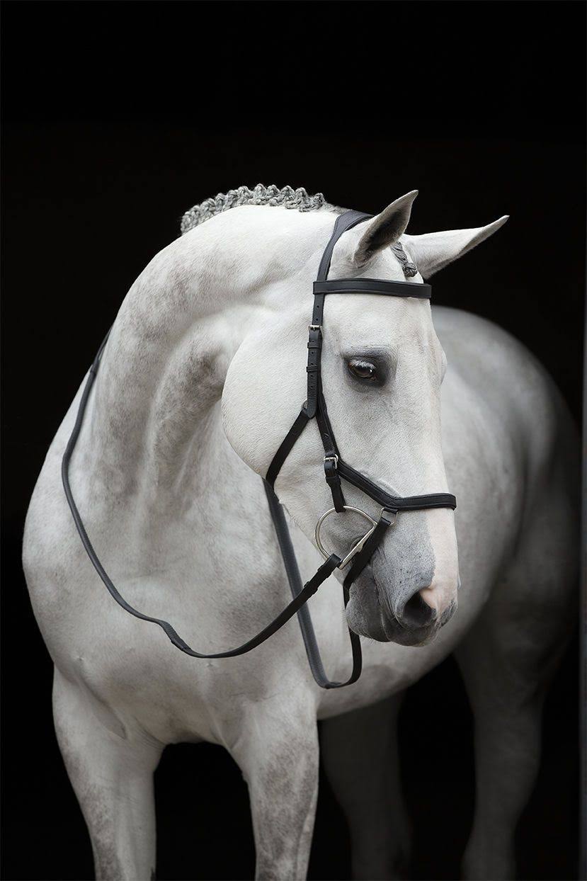 Rambo Micklem Competition Bridle - Brown