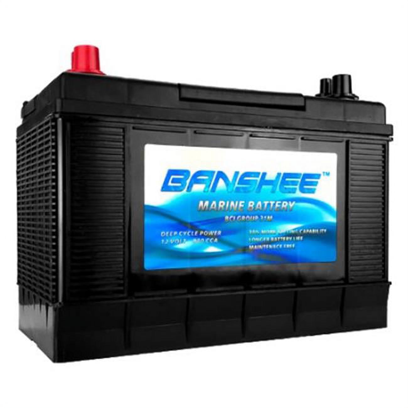 Banshee 31M-Banshee-2 SC31DM 8052-161 D31M Bluetop Starting & Deep Cycle Battery