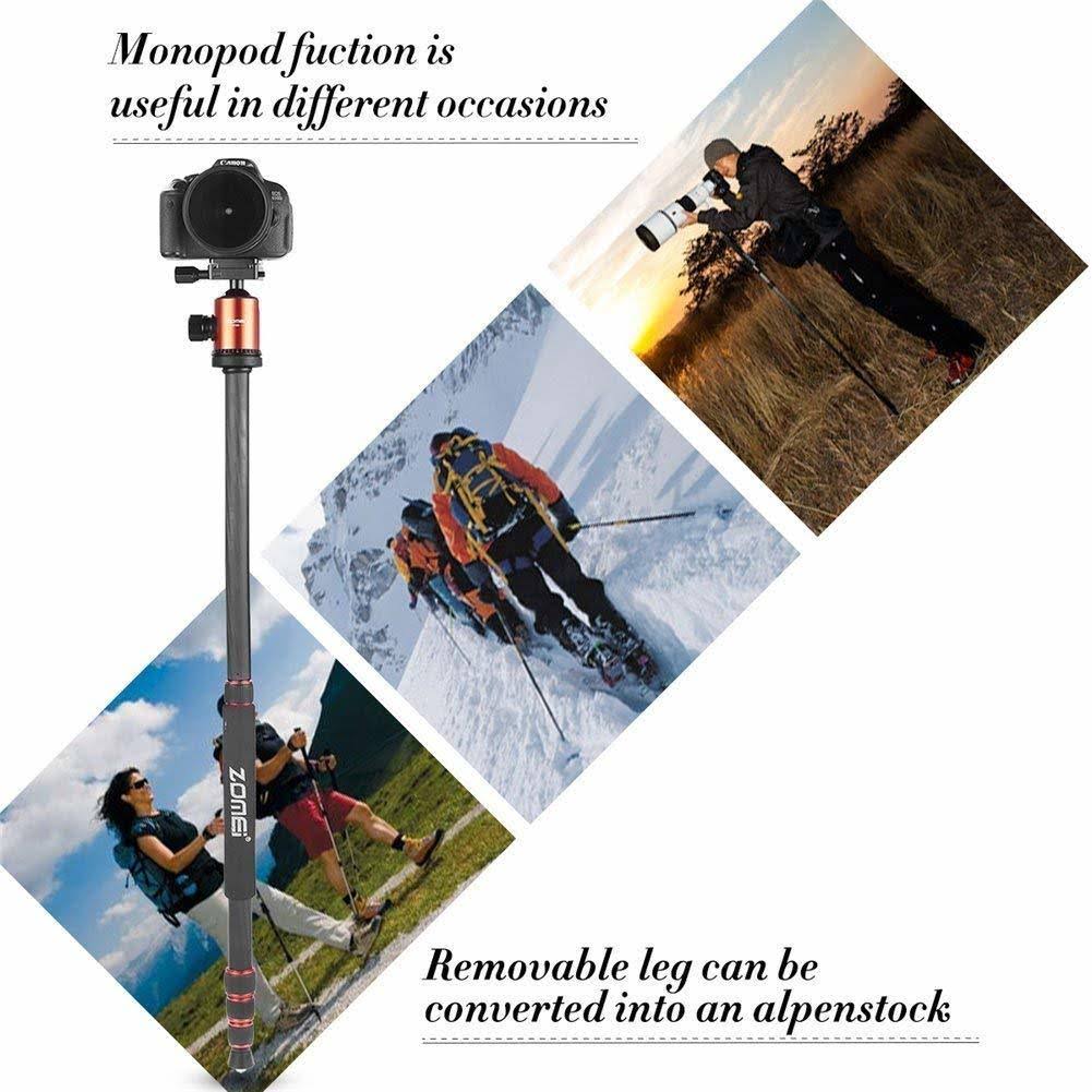 Zomei Light Weight Portable Carbon Fiber Travel Complete Tripod Come with Ball Head Carry Case for Digital/Camcorder/DSLR/SLR/Vi