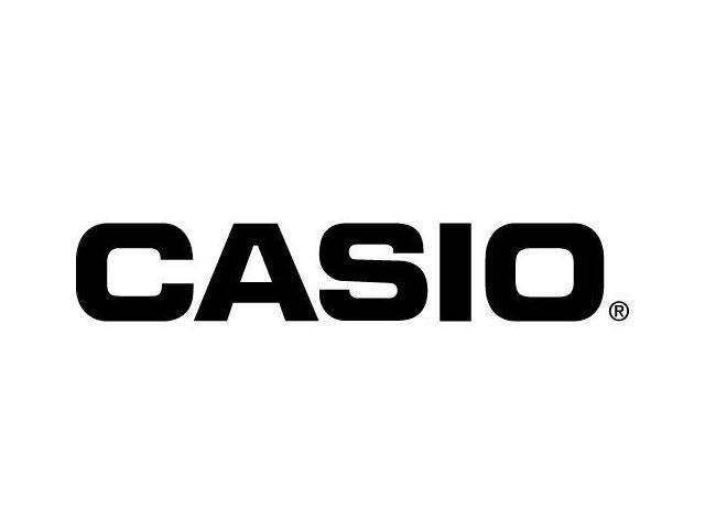Casio Graphing Calculator W 4.8x22 LCD
