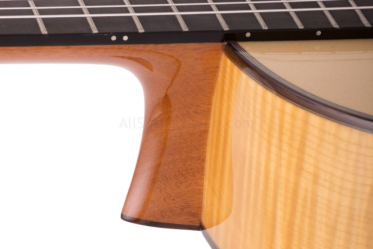 Cordoba Fusion 14 Maple Acoustic Electric Nylon String Classical Guitar