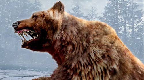 Cabela&s Dangerous Hunts 2011 with Top Shot Elite for Wii