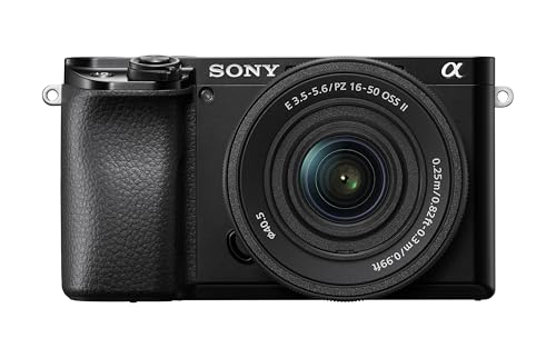 Sony Alpha A6100 Mirrorless Camera