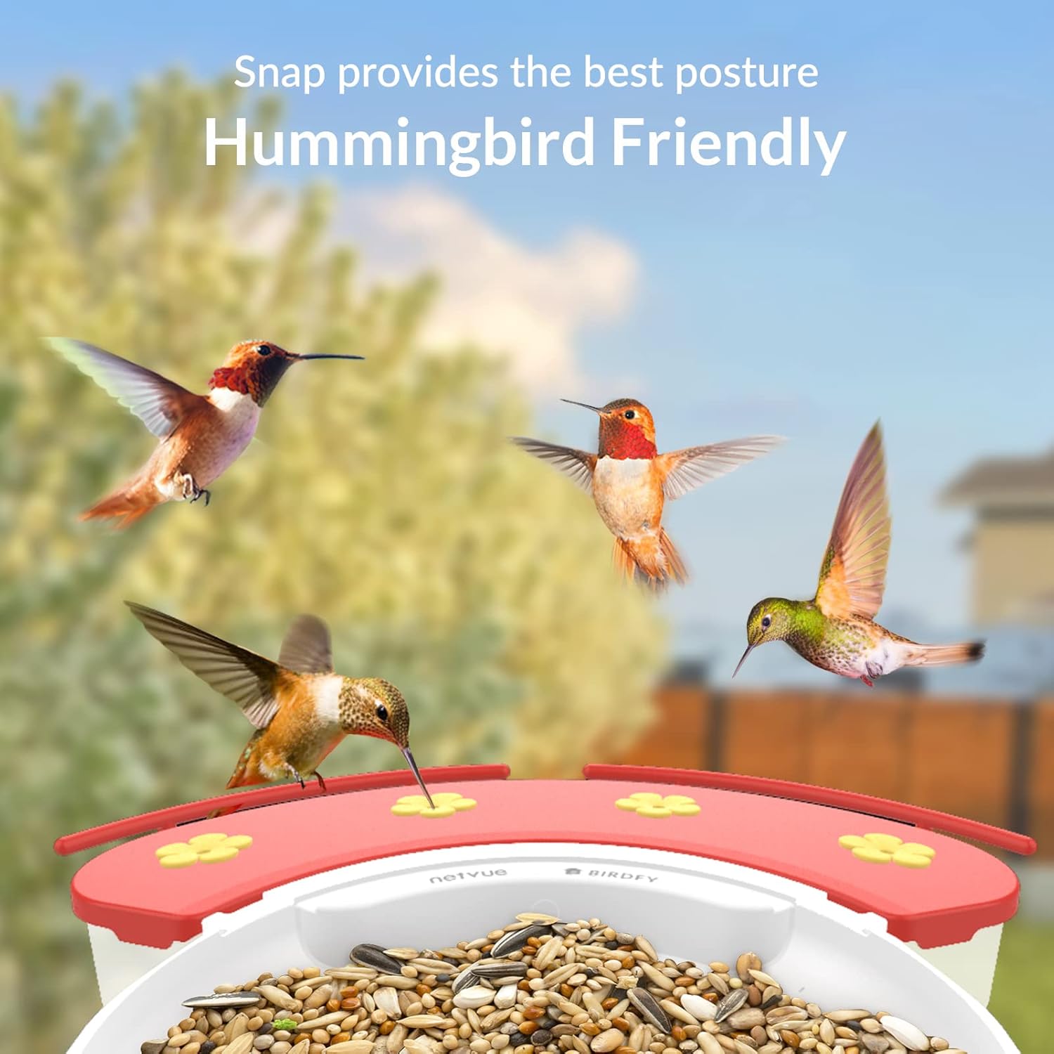 NETVUE Birdfy Solar Camera with Humming Bird Feeder Extension Perch