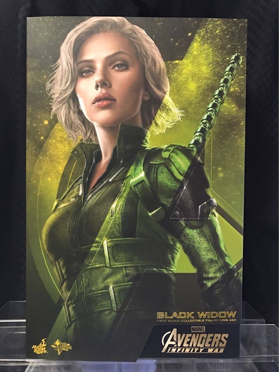 Hot Toys Movie Masterpiece Avengers Infinity War 1/6 Scale Figure Black Widow Japan Limited