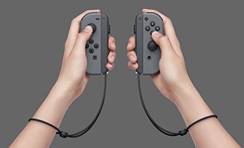 Nintendo Switch Console Gray Joy-Con (Renewed)