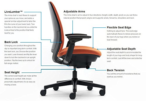 Steelcase Amia Task Chair: Platinum Frame/Base - 4 Way Adjustable Arms - Standard Carpet Casters