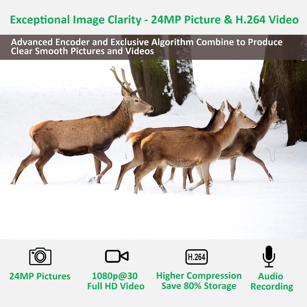 GardePro A3 Trail Camera 24MP 1080P, H.264 HD Video, Clear 100ft No Glow Infrared Night Vision, 0.1s Trigger Speed, 82ft Motion Detection, Waterproof Cam for Wildlife Deer Game Trail Pack of 2