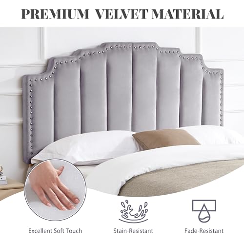Kingfun Mid Century Headboard for King Size Bed, Velvet Upholstered Tufted Bed Headboard with Nailhead Decor, Adjustable Curved Solid Wood Head Board with Vertical Channel Design in Grey