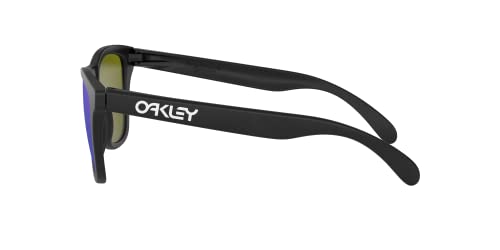 Oakley Mens Frogskin Sunglasses (OO9013) Plastic