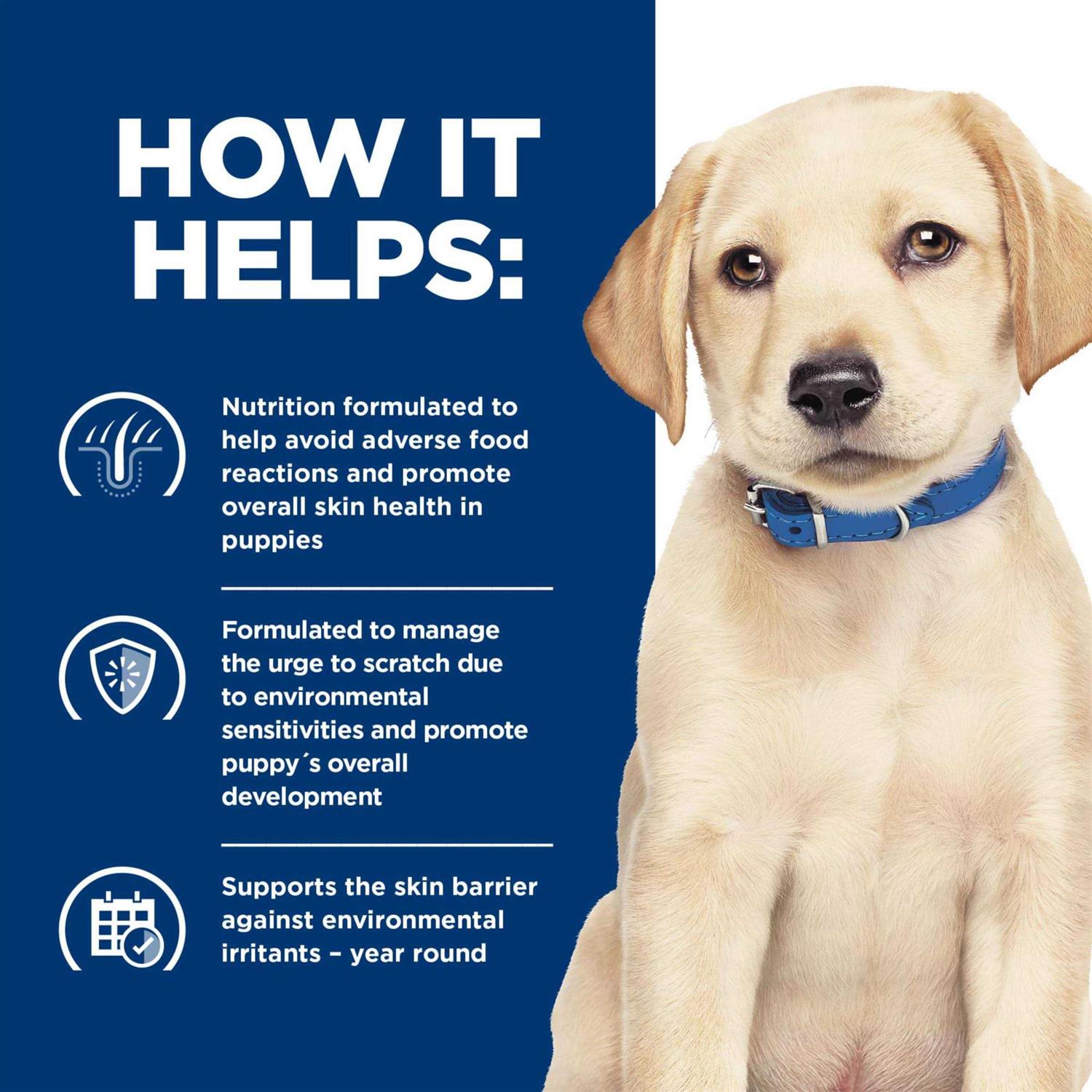 Hill's Prescription Diet Derm Complete Skin &amp; Food Sensitivities Dry Dog Food - Pet Supplies online store