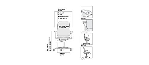 Steelcase Amia Task Chair: Platinum Frame/Base - 4 Way Adjustable Arms - Standard Carpet Casters