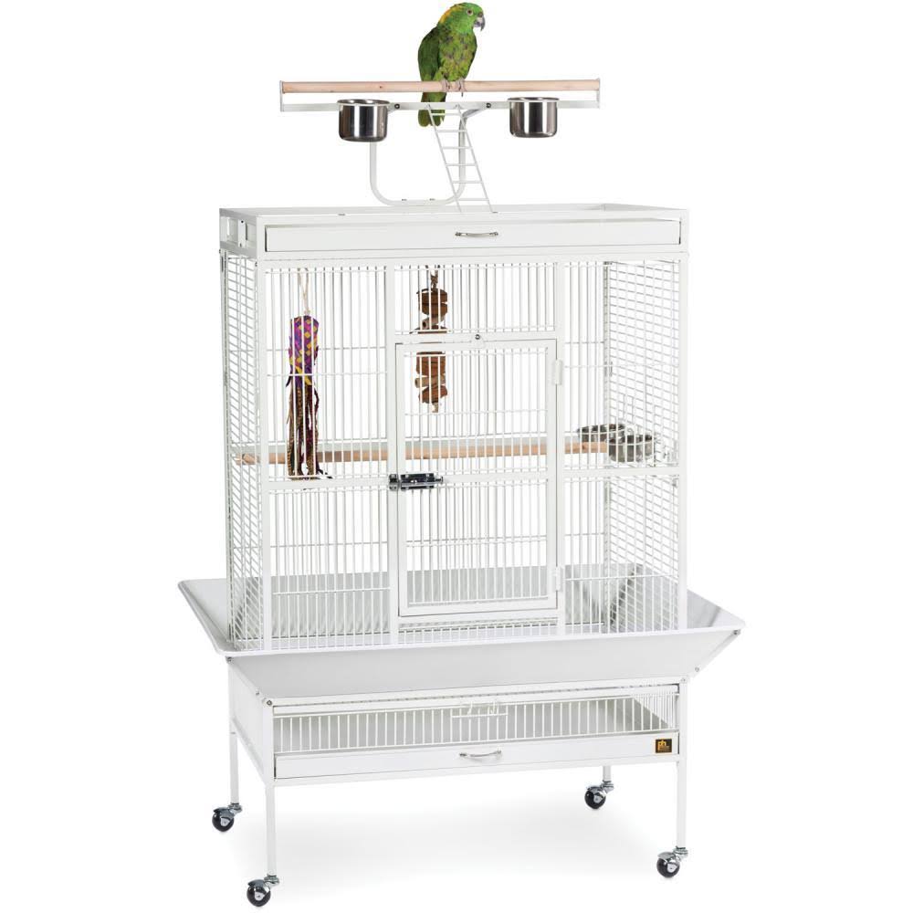 Prevue Hendryx Select Wrought Iron Parrot Bird Cage, Pewter